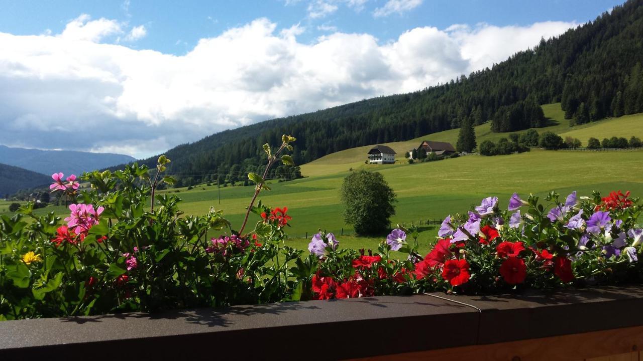 Ferienwohnungen Haus-Holzer Mauterndorf  Εξωτερικό φωτογραφία