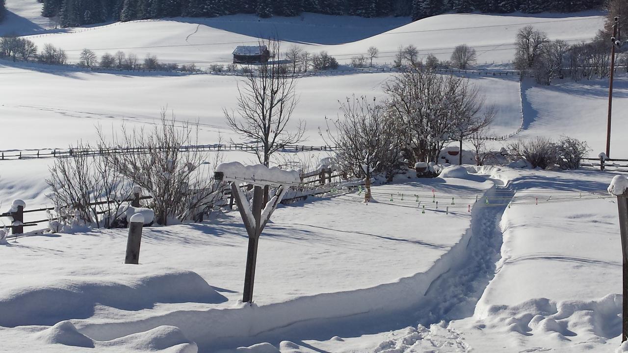 Ferienwohnungen Haus-Holzer Mauterndorf  Εξωτερικό φωτογραφία
